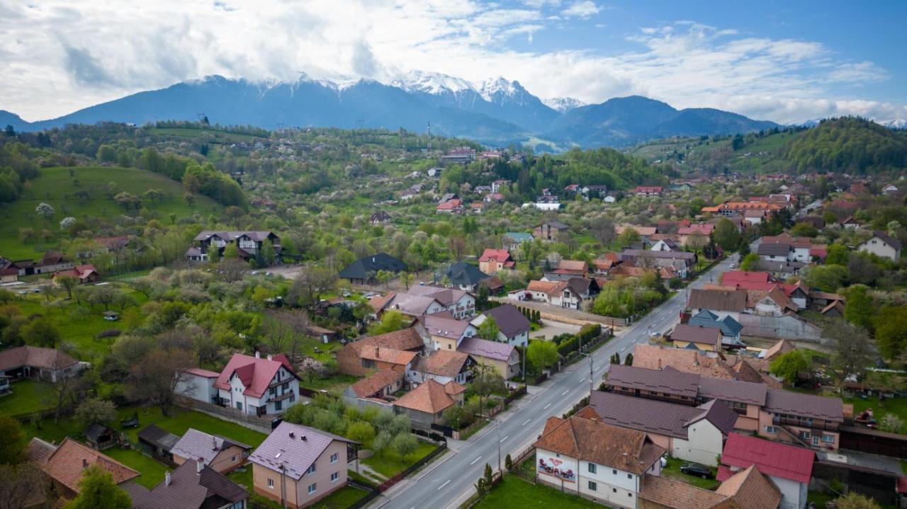 Amedeia Bran (Brasov) Exterior foto
