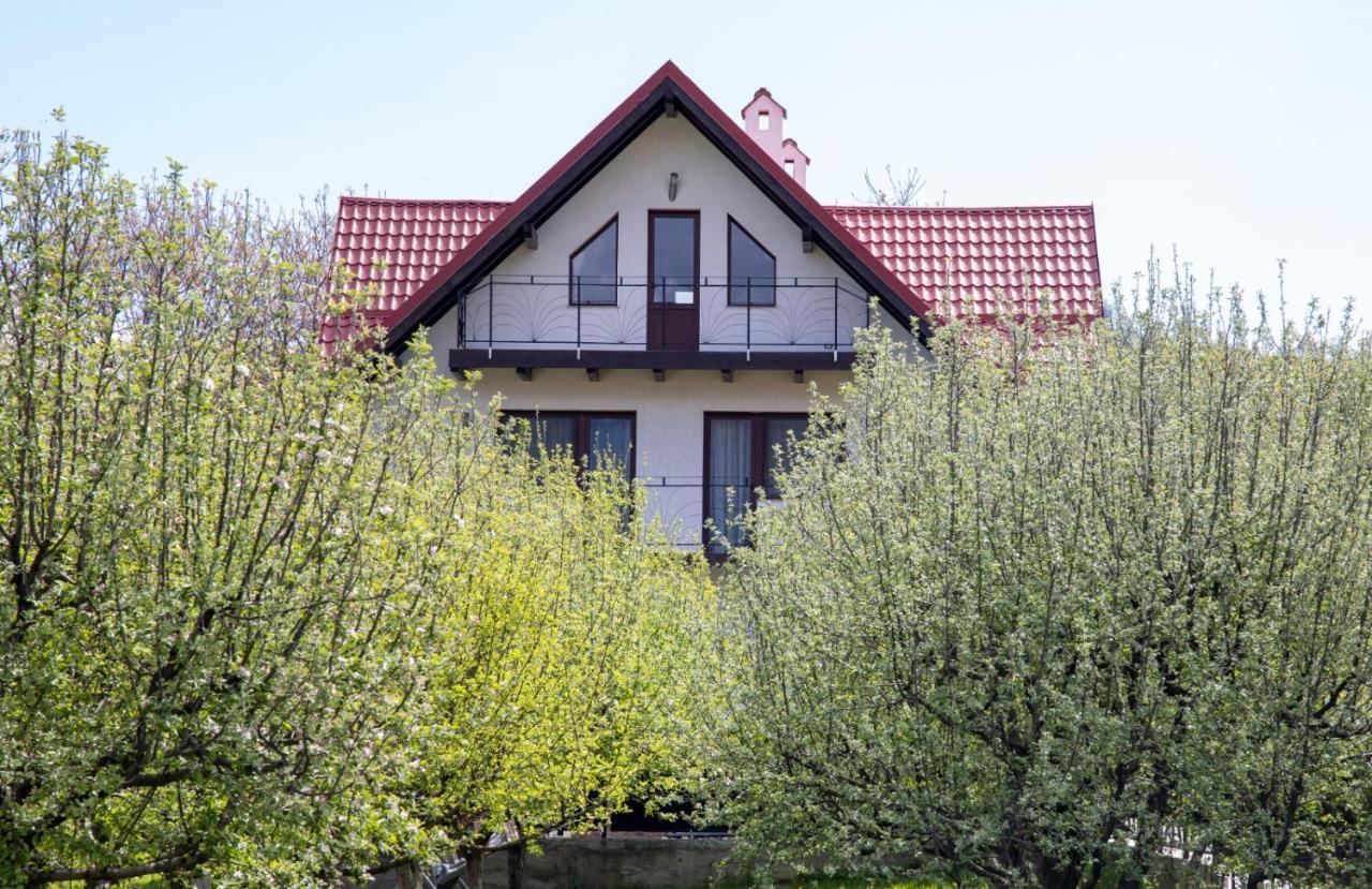 Amedeia Bran (Brasov) Exterior foto